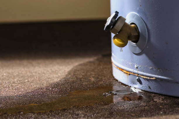 Best 24/7 water damage repair  in Mcelhattan, PA