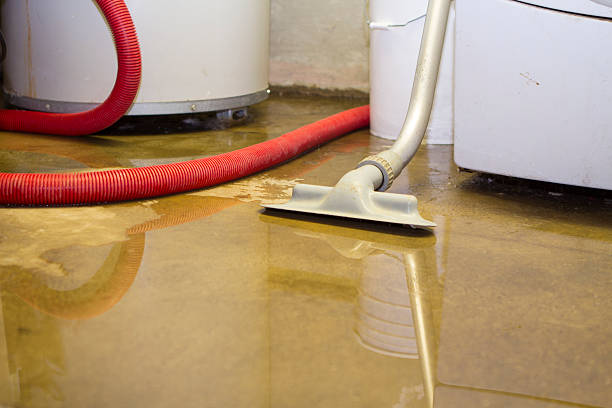 Best Water damage restoration near me  in Mcelhattan, PA