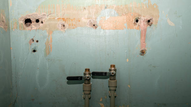 Best Flooded house restoration  in Mcelhattan, PA